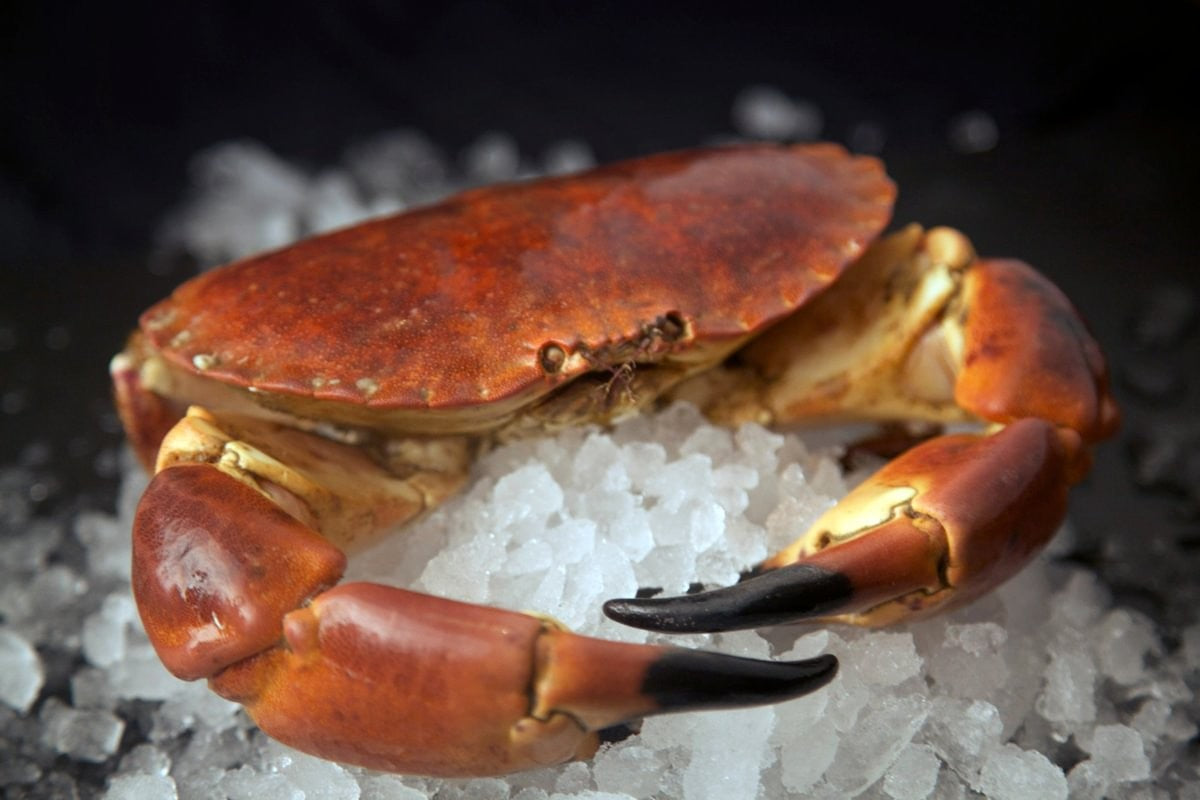Whole crab