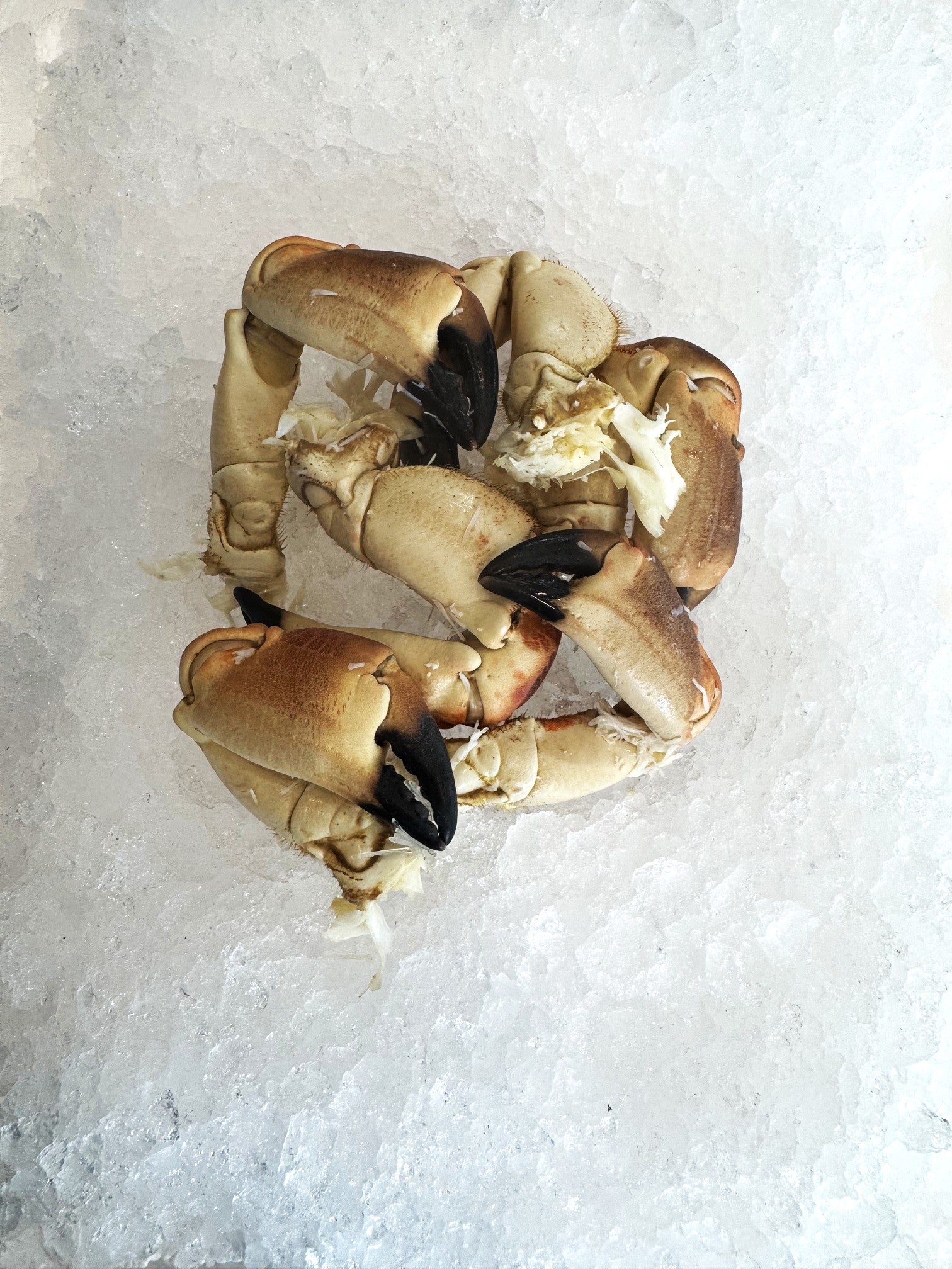 Crab Claws