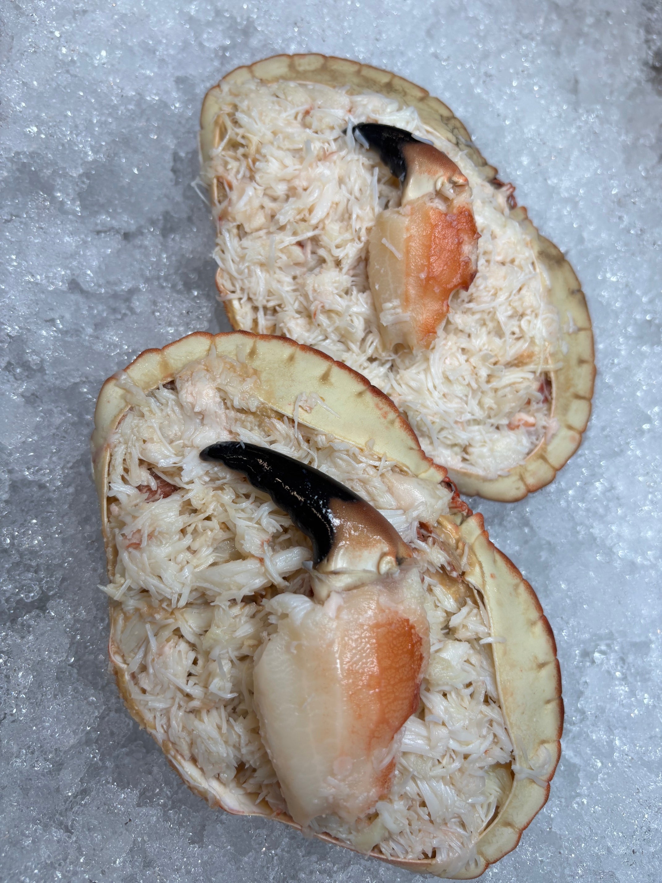 Dressed Crab | Fresh Whitby Crab Online