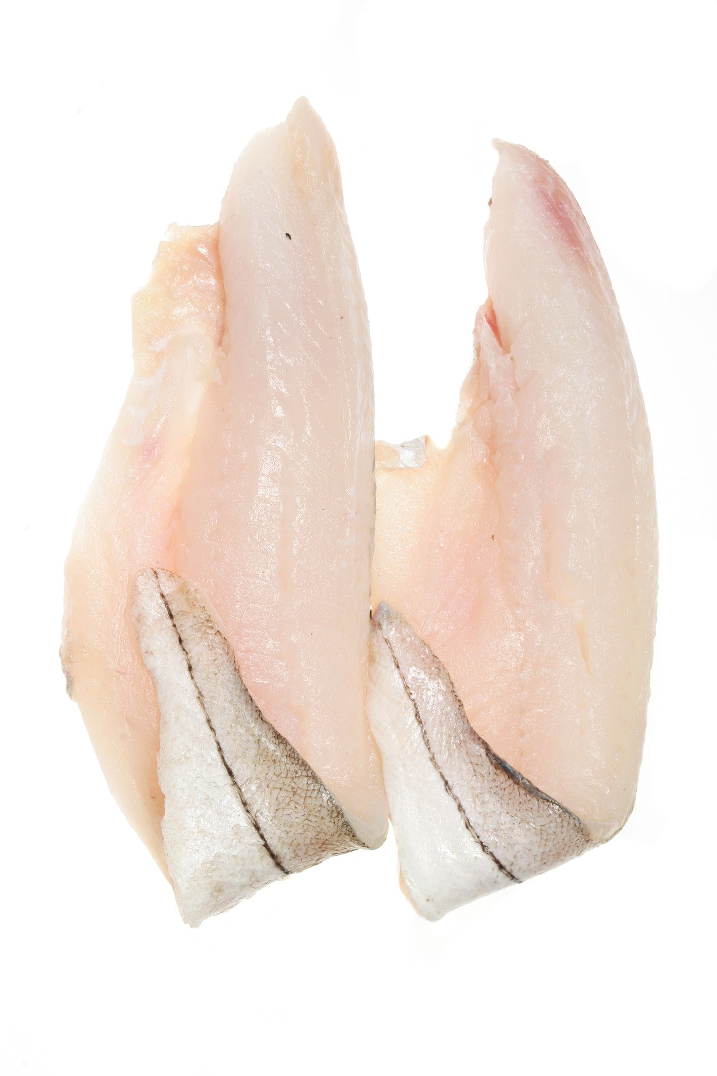 Haddock Fillet