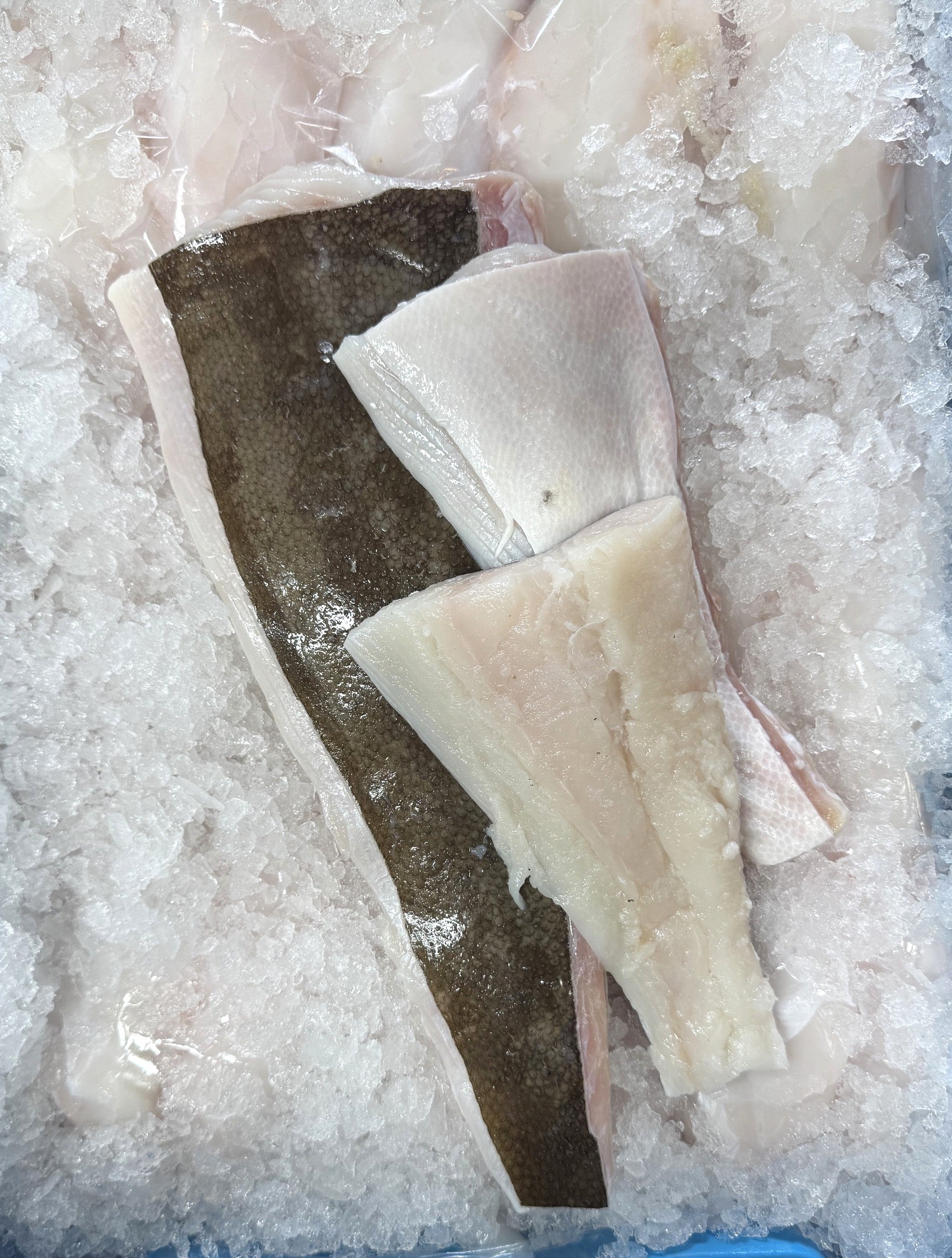 Halibut Fillet