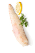 Monkfish