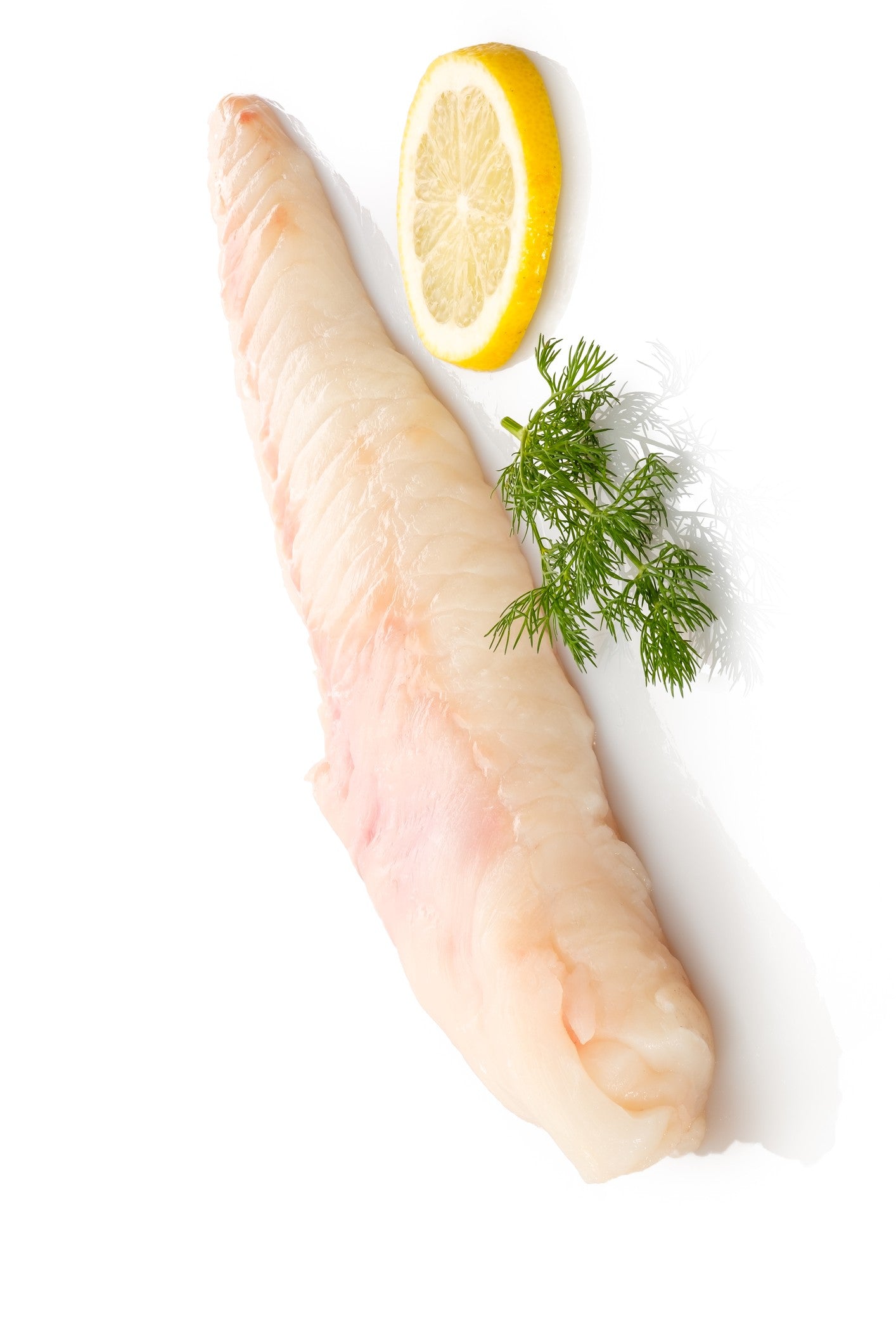 Monkfish
