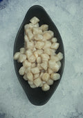 Queen Scallops