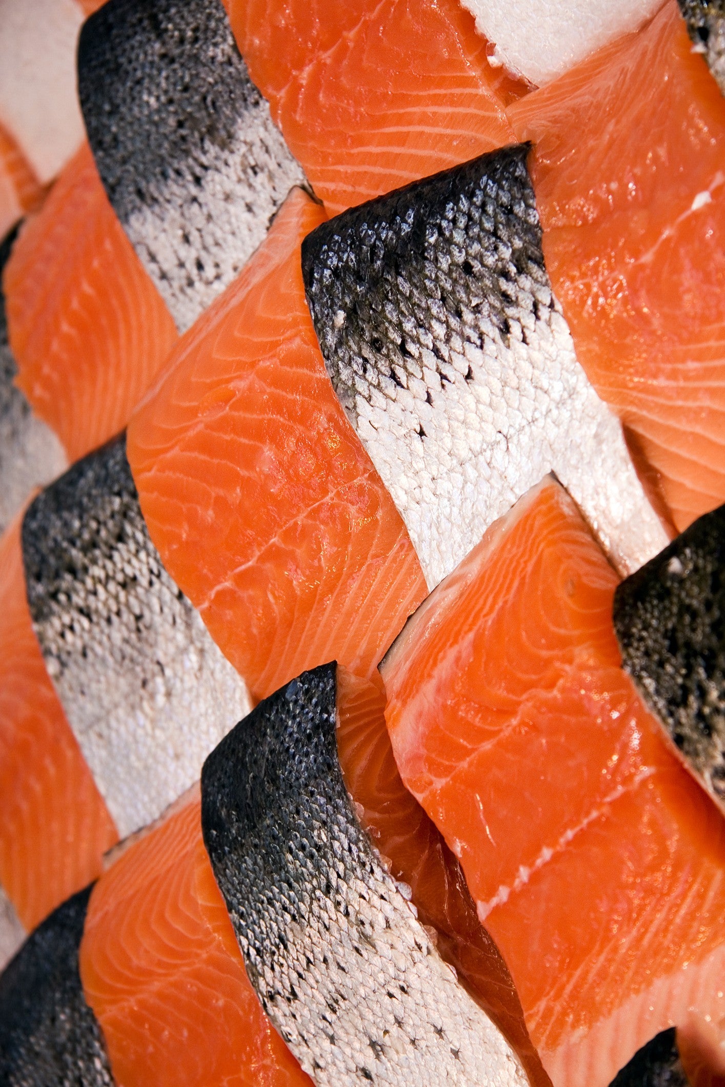 Salmon Fillet
