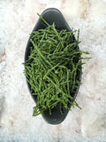 Samphire