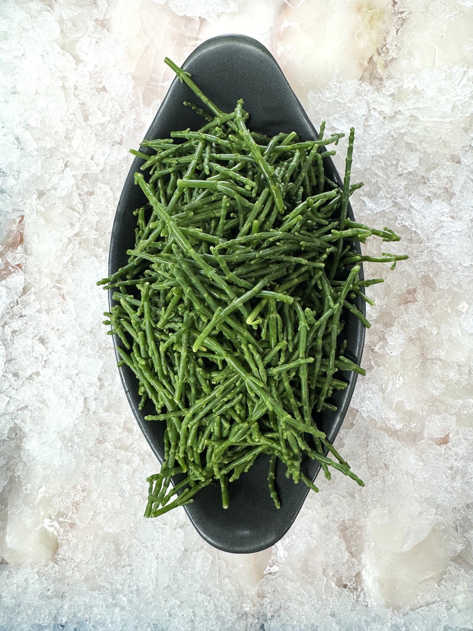 Samphire