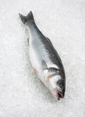 Sea Bass