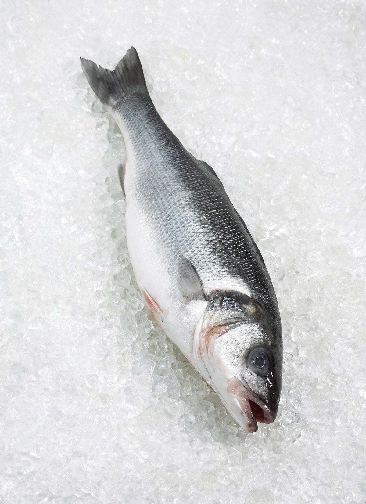 The Whitby Catch
