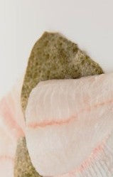 Turbot Fillet