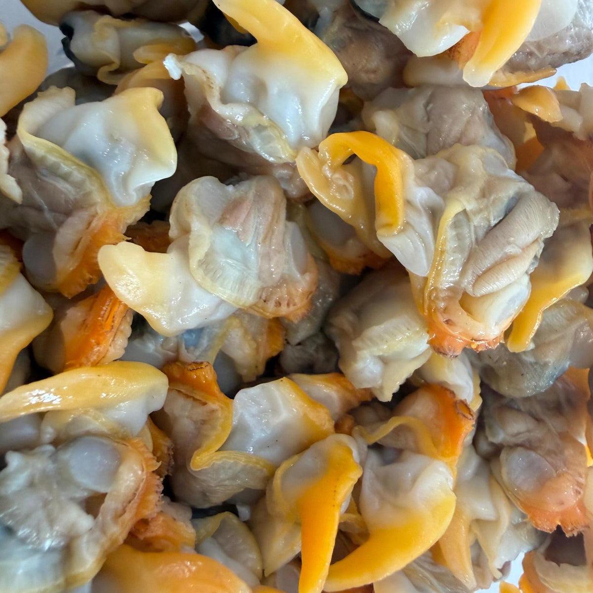 Cooked Cockle Meat