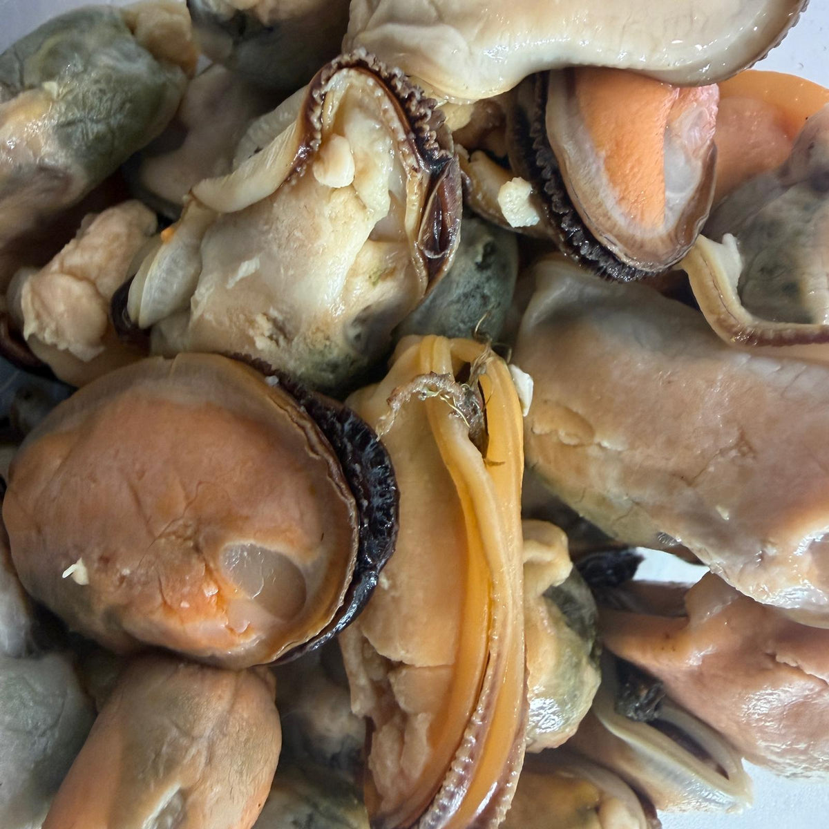 Cooked Mussle Meat