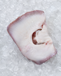 Skate Wings