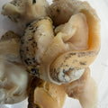 Cooked Whelk Meat