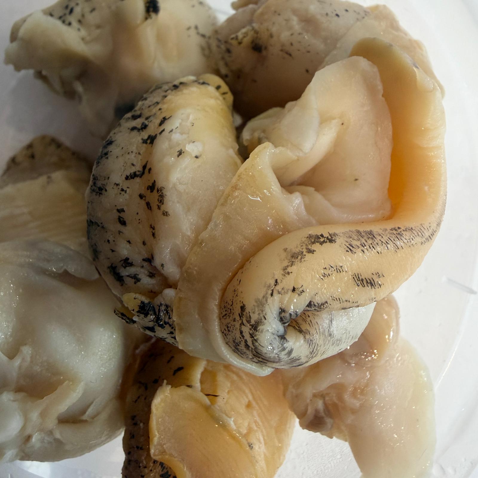 Cooked Whelk Meat
